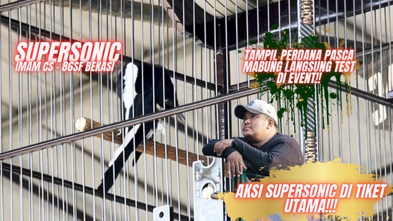 KACER SUPER SONIC | TAMPIL GILA DI TIKET UTAMA 🥶| KOPDAR KKP JATILUHUR