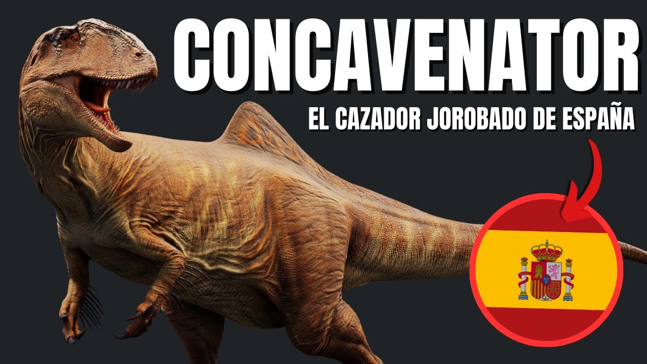 CONCAVENATOR - El Cazador Jorobado Español
