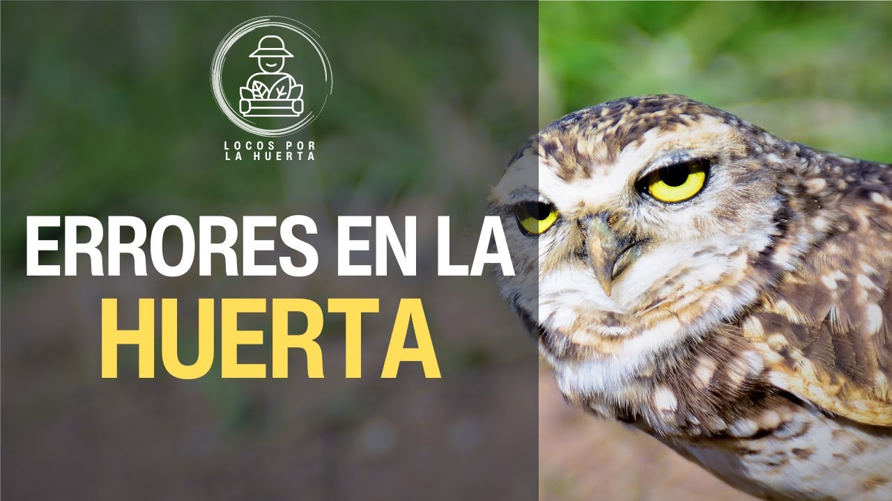 ERRORES más COMUNES al EMPEZAR una HUERTA desde CERO | Locos por la Huerta
