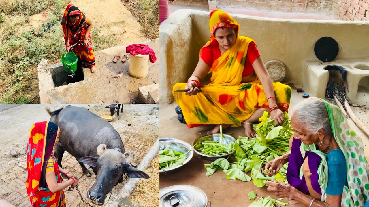 क्यों करनें पड़ते है मुझे मर्दों वाले काम🤷‍♀️ये सब बतानें में शर्म कैसी🤦‍♀️#villegefamilyvlog