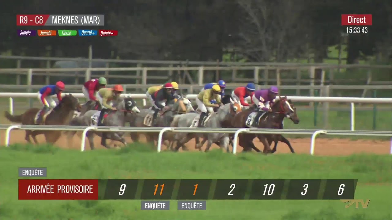 Live Hippodrome « MEKNES» Courses du  26/02/2026 .