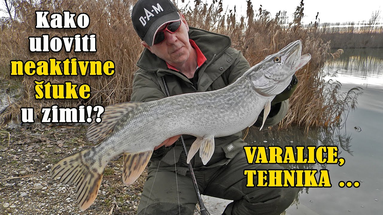 Kako uloviti neaktivne štuke!? Tehnika, varalice ... DAM_Effzett_Quick / VSP Igor Pavičić