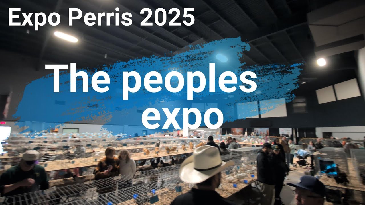 Expo Perris 2025