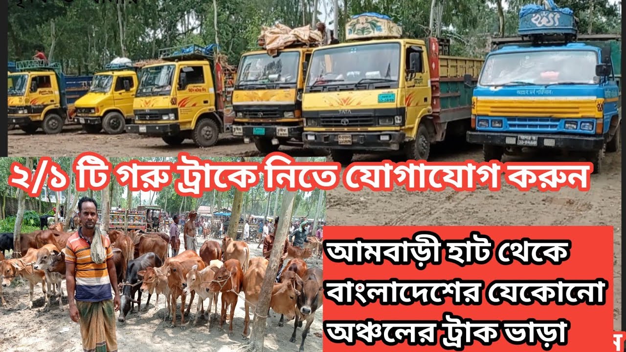 আমবাড়ী হাট থেকে কোন অঞ্চলের কতো টাকা ট্রাক ভাড়ার জানতে দেখুন || ২/১ গরু যেকোনো জায়গার ট্রাক ভাড়া