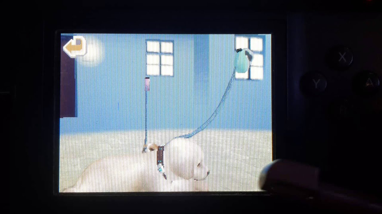 Nintendogs: Chihuahua and Friends: LUCKY COLLAR