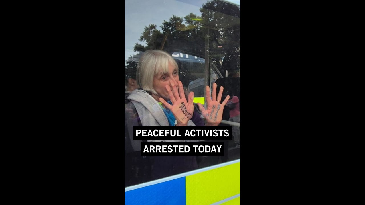 Hundreds arrested on Saturday for peaceful protest against ban of Palestine Action