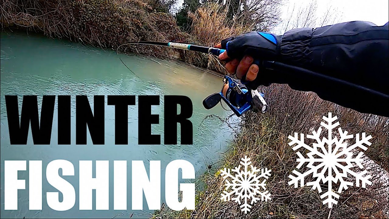 L&rsquo;ARTE DI ARRANGIARSI NELLA PESCA (soprattutto d&rsquo;Inverno!)