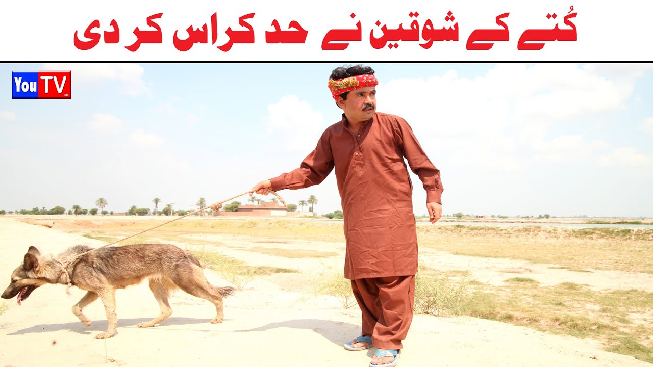 Number Daar Kutay Ka Shoqen Noori | Top Funny Video | New Funny Punjabi Comedy Video 2024| You Tv HD