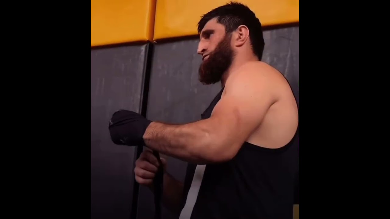 Magomed Ankalaev Training and Preparation for Johnny Walkers