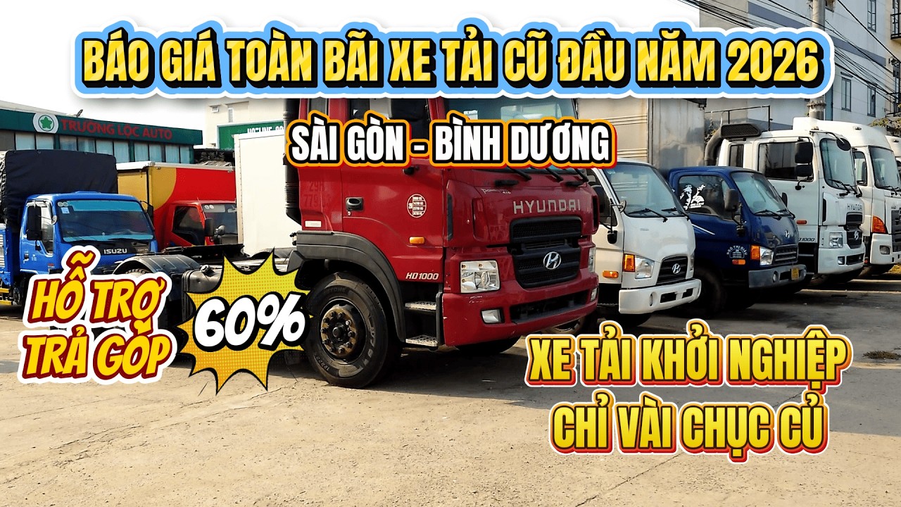Báo giá toàn bãi 