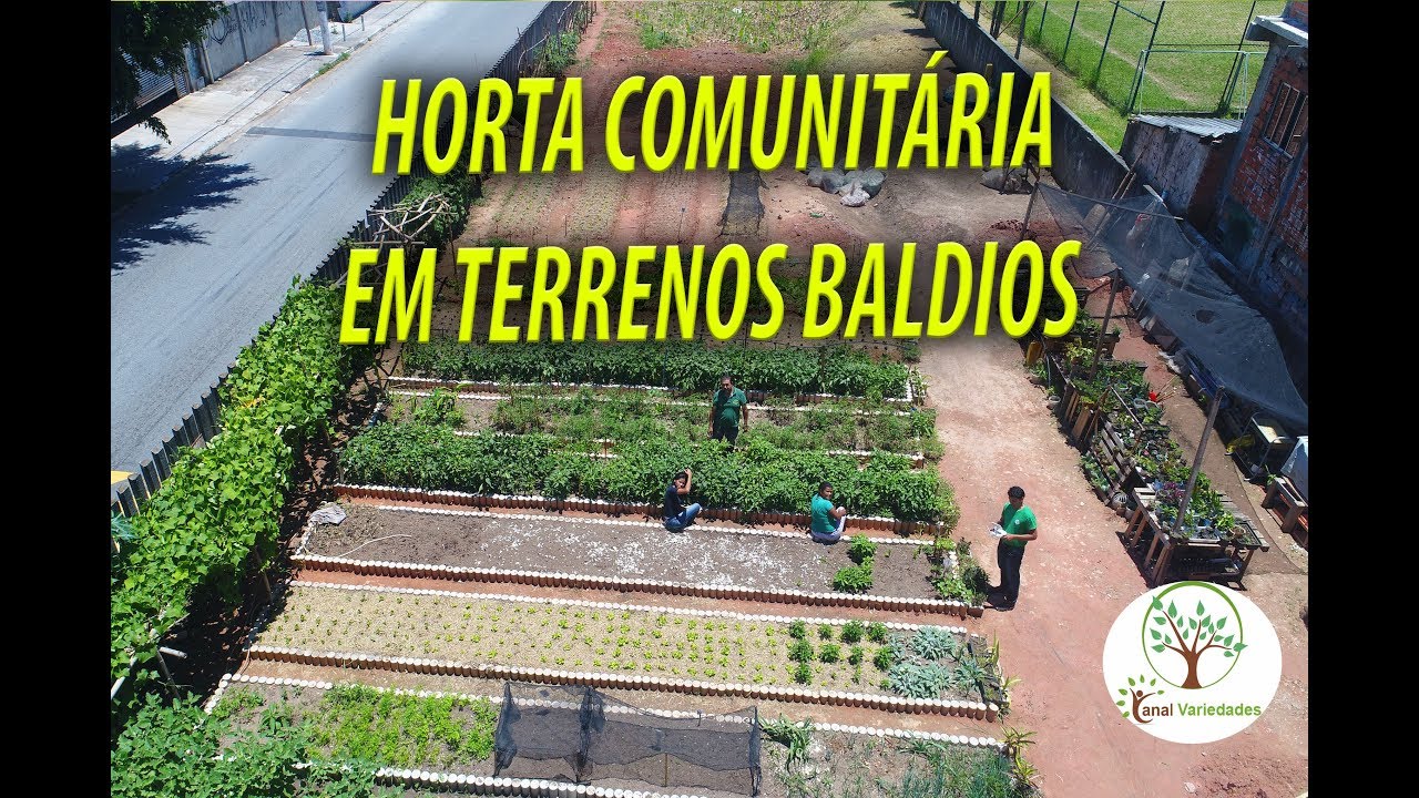 HORTA COMUNITÁRIA EM TERRENOS ABANDONADOS, APOIO ESSA IDEIA