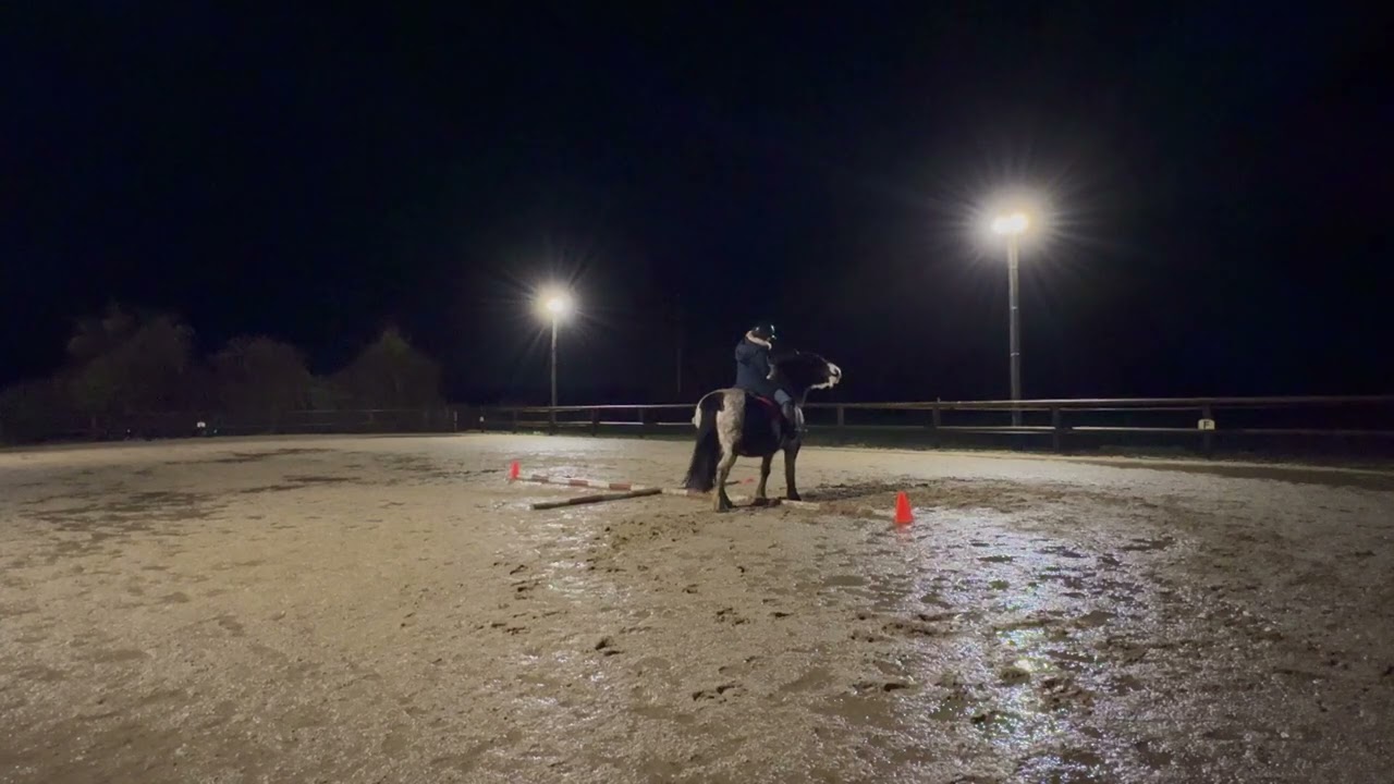 Equifeel virtuel Caval go 2026 - Marie ANQUETIL et enjoy - montée 1 manche 2 