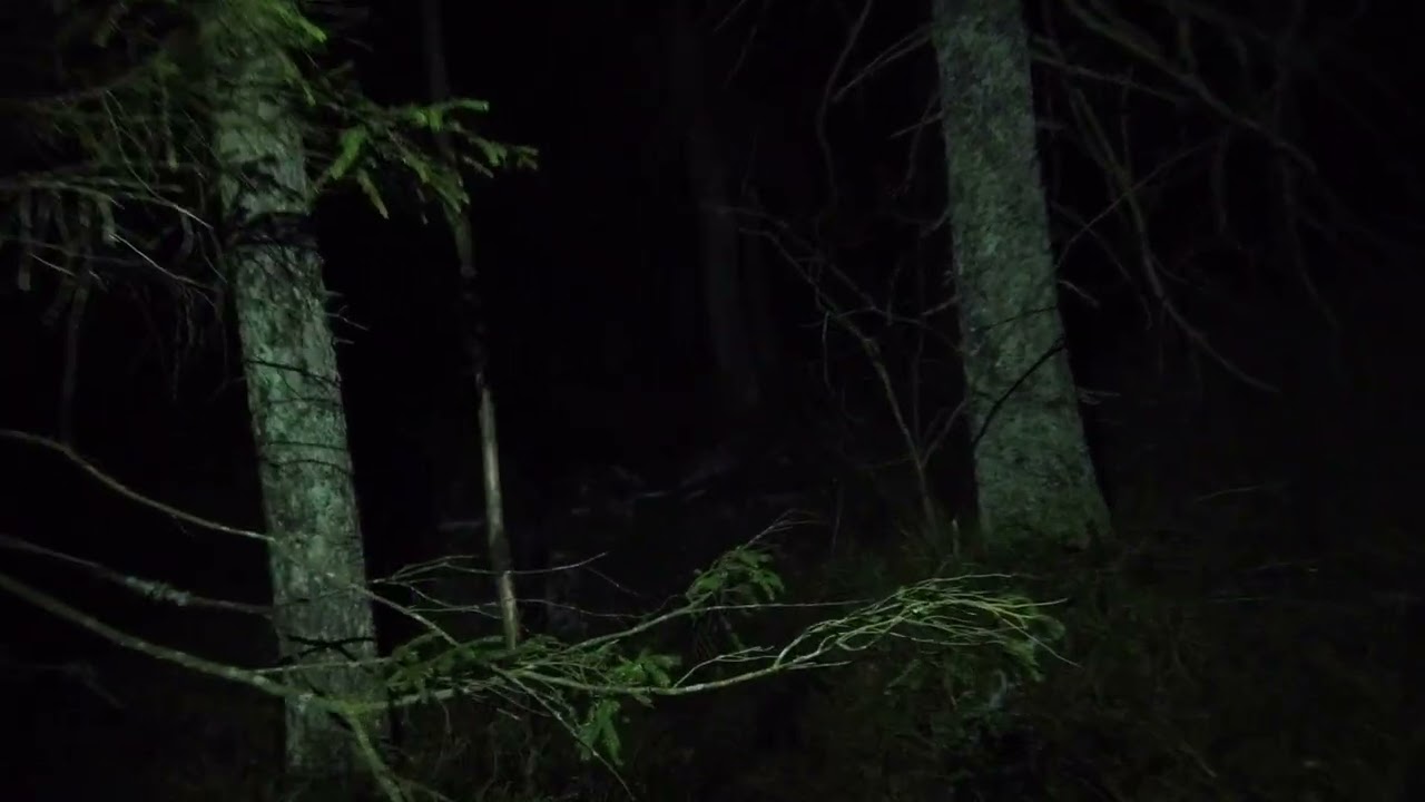 TROLL WALK AT NIGHT WITH BRODIN