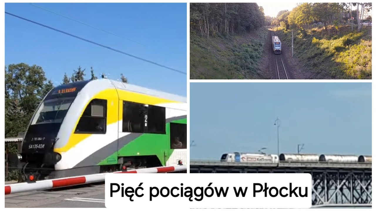 Pięć pociągów w Płocku Five trains in Płock