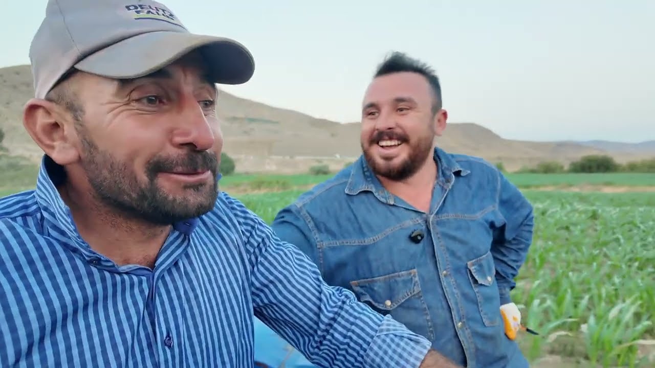 Köyde Yaşam | Dağ Köyünde Silajlık Mısır’da Damla Sulama Sistemi