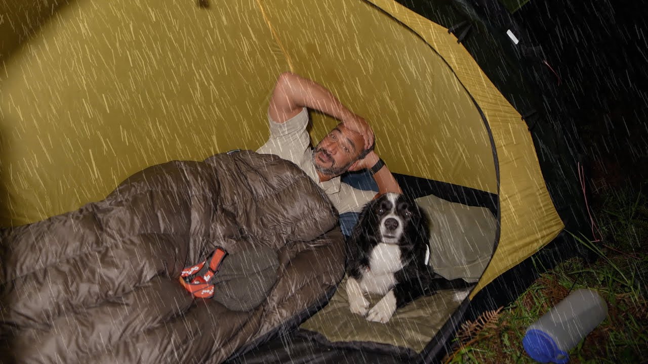 Camping In The Rain With Dog, Tent and Tarp