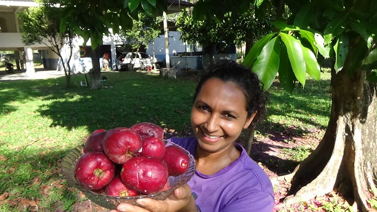 + UMA ETAPA CUMPRIDA NO SÍTIO- FIZ LEITE COM SIDREIRA-  CANUDO COM TALO DE MAMONA