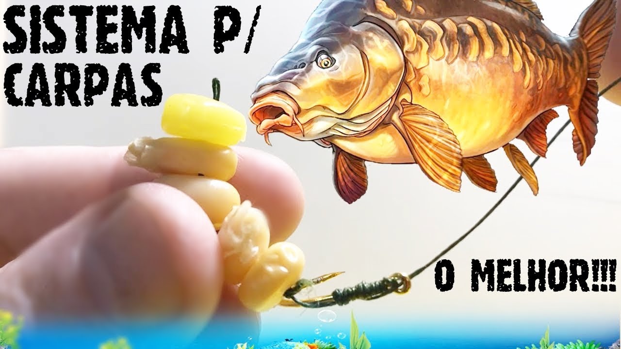 Sistema para Pescar Carpa - O Melhor que Existe!!!