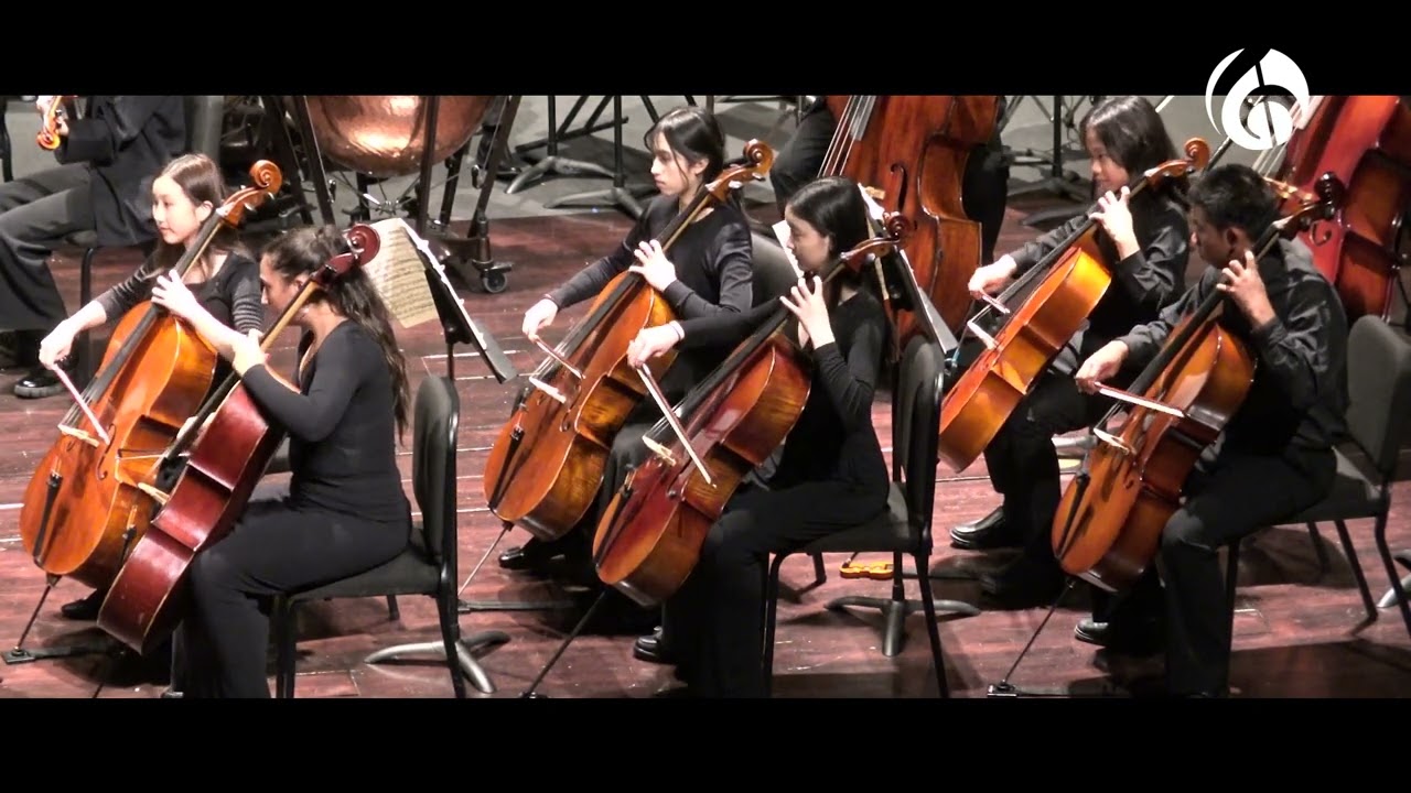 Beethoven Pastoral Symphony, Mvt. 1 