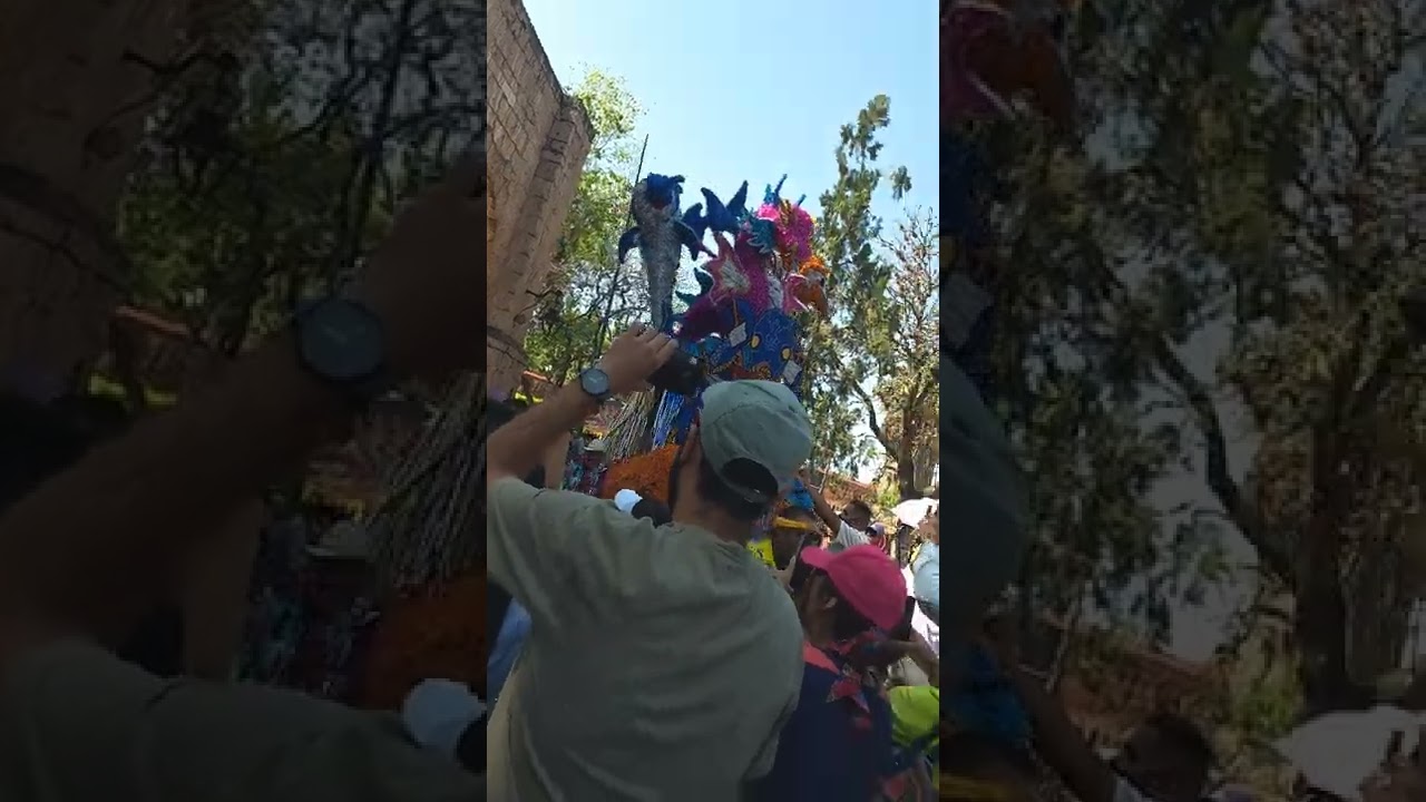 desfile de toritos de petate 2022