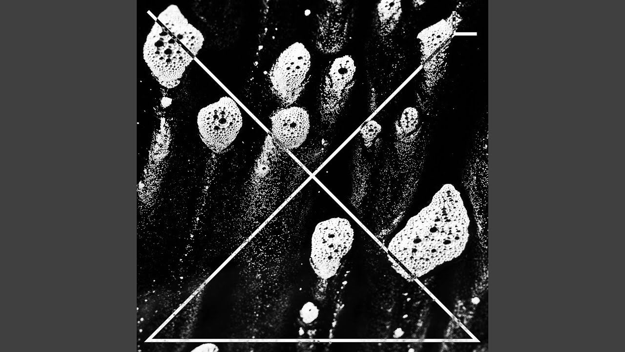 Dafon (feat. Massumi)