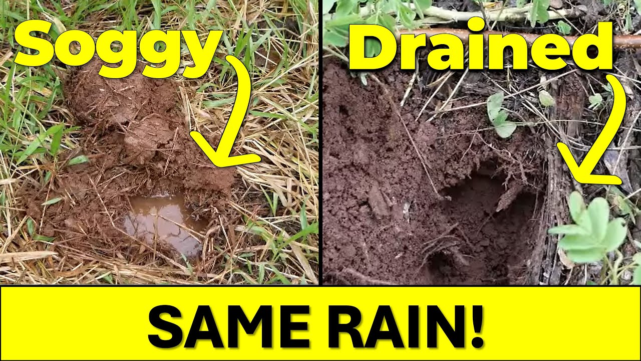Как улучшить дренаж глинистой почвы естественным путем (полевые испытания)