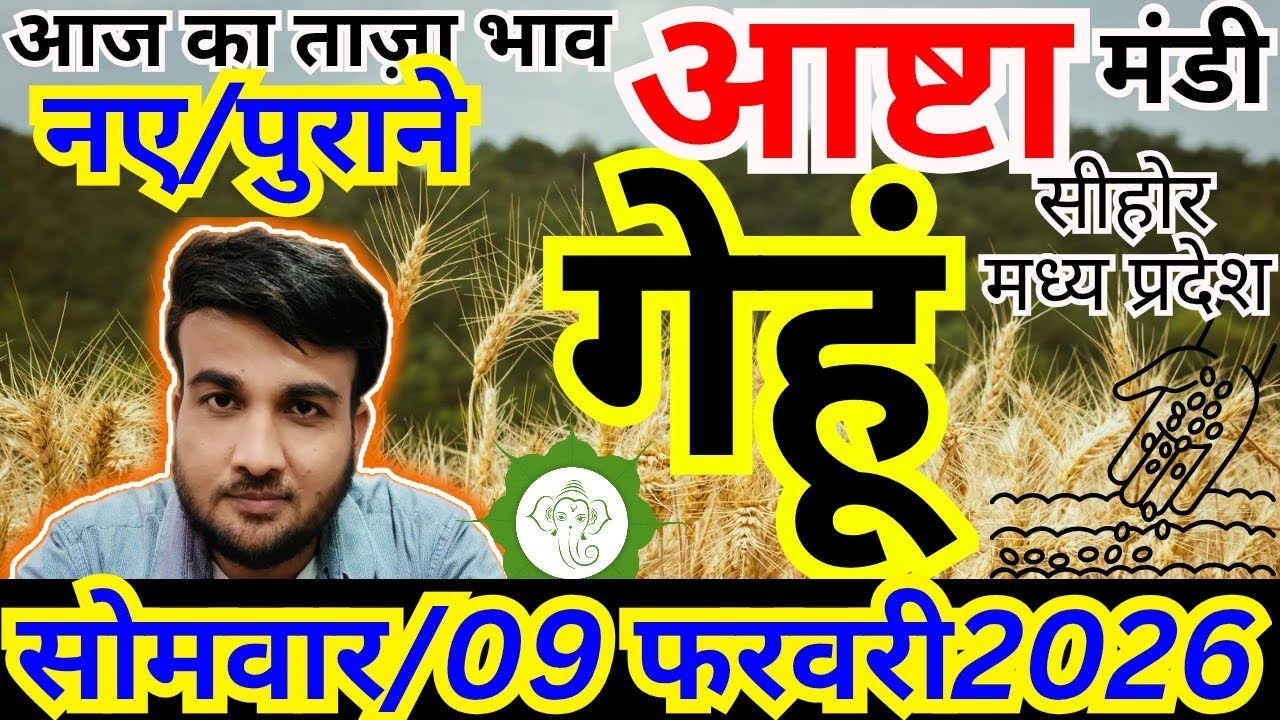 🌾गेहूं का ताजा मंडी भाव | आष्टा मंडी गेहूं रेट आज |  09 फरवरी 2026 | MP Wheat Mandi Update