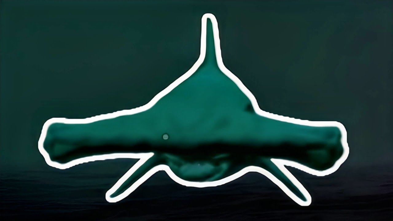 ESCAPING THE BACKROOMS BUT IN THE OCEAN !!! | Sharks And Minnows
