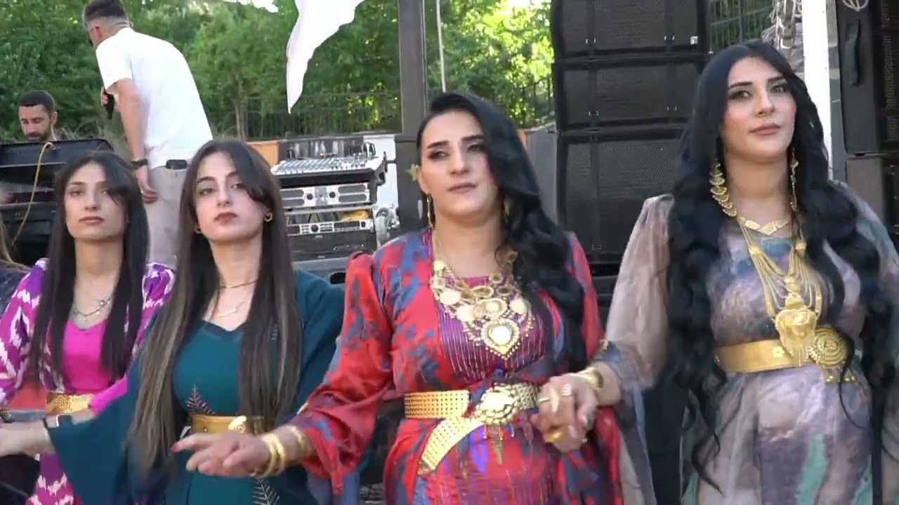 KURT AİLESİ  1 saat demo bölüm  Savaşan Production -   [ 2025 © ] Wedding