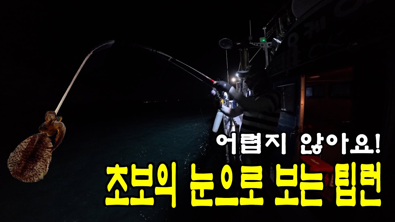 초보의 눈으로 보는 무늬오징어 팁런 낚시 꿀팁! 어렵지 않아요!