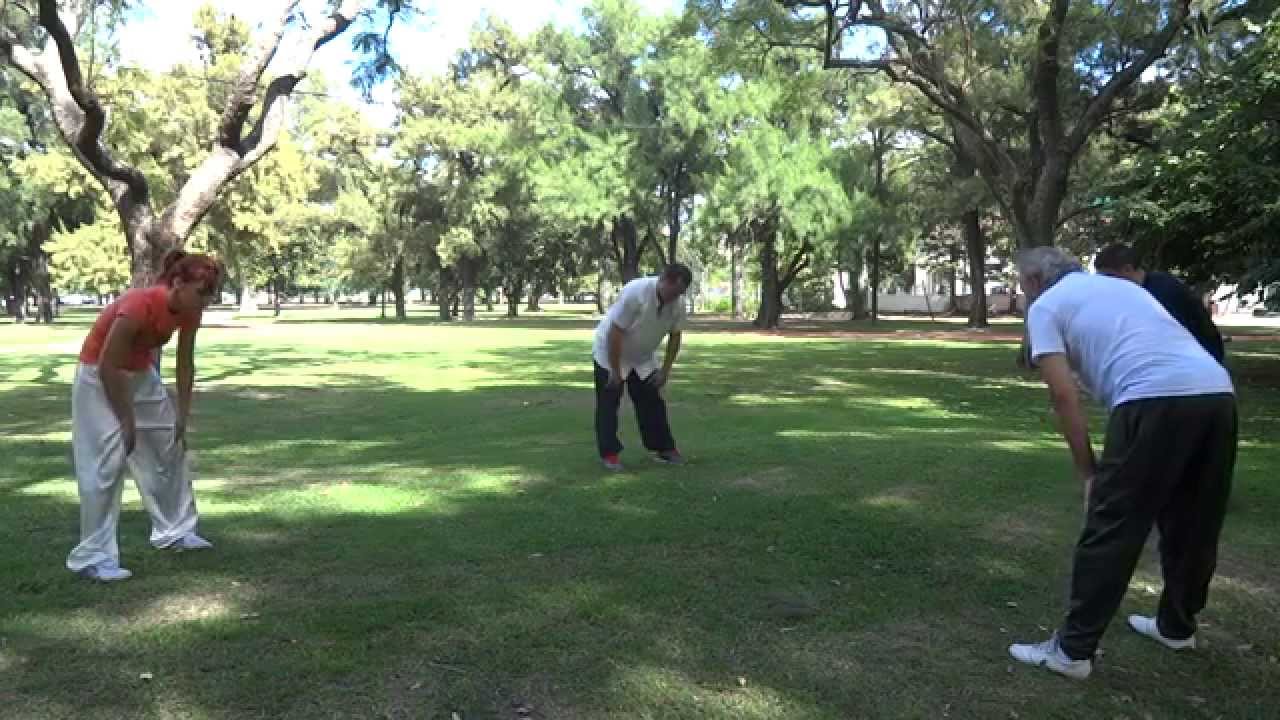 Qi Gong con M° Gianfranco Pace. Marzo del 2015, Palermo, Bs As.