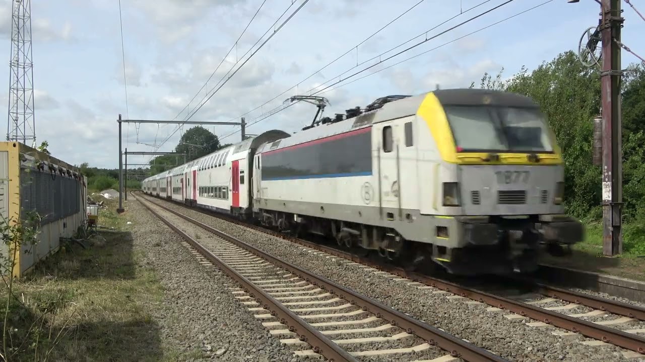 Treinen op station Ghlin/Trains &agrave; la gare de Ghlin 21-8-2024