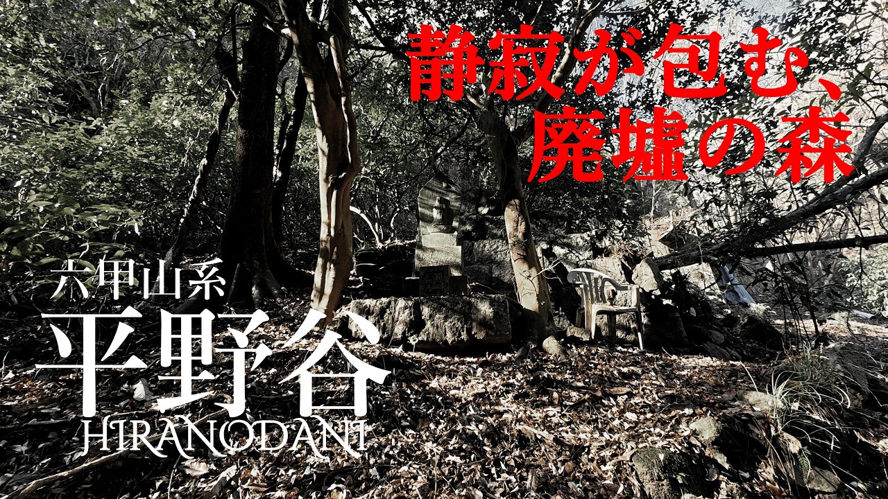 【神戸駅の奥に眠る秘境】六甲山系平野谷へ潜入_静寂が包む、不気味な森
