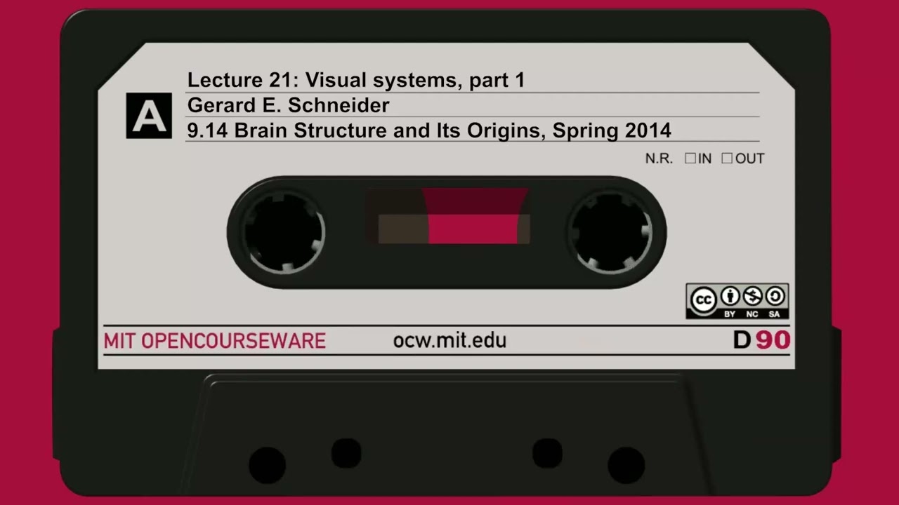 21. Visual systems, part 1