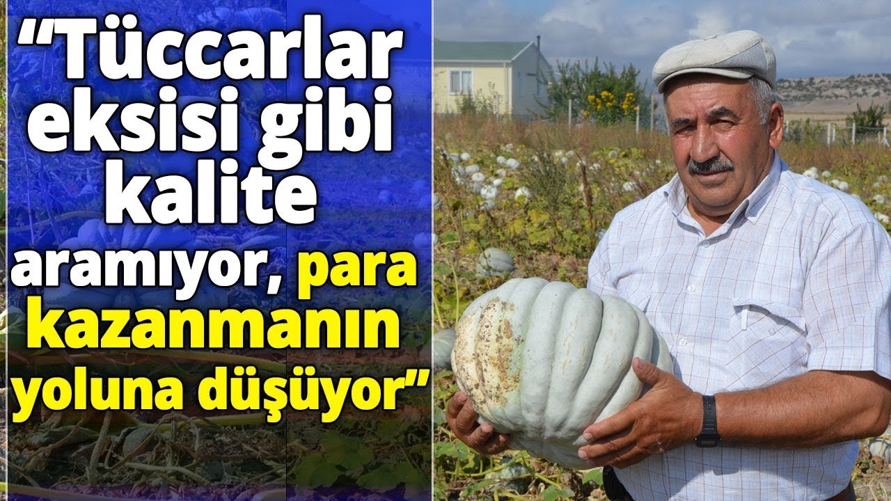 Bal Kabağı Üreticisini Mutlu Etti