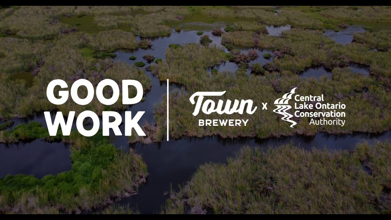 GOOD WORK - Dan Moore (Central Lake Ontario Conservation Authority)