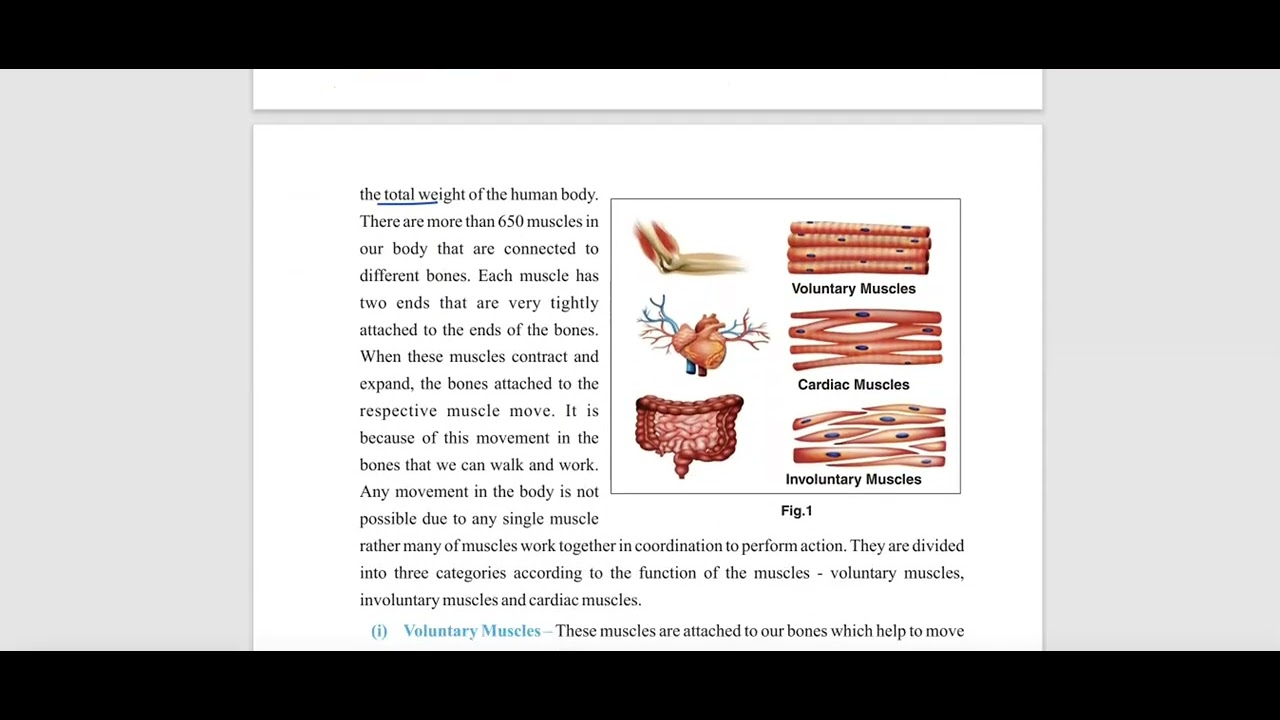 Class 10 Physical Education PSEB | Chapter 1 Effects of Exercise on Body Systems | #PSEB #Class10