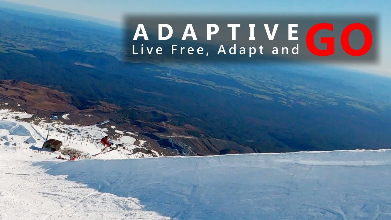 Welcome to AdaptiveGo 2021