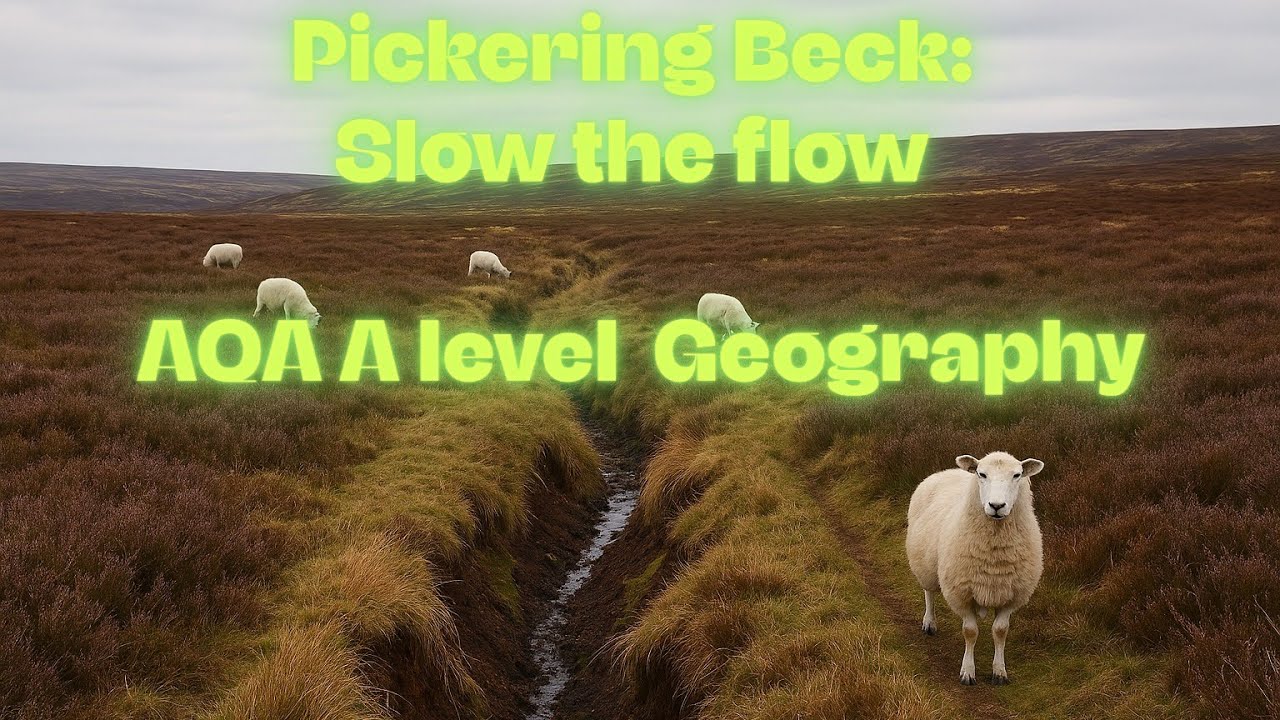 Pickering Beck: Slowing the flow. A local catchment example.