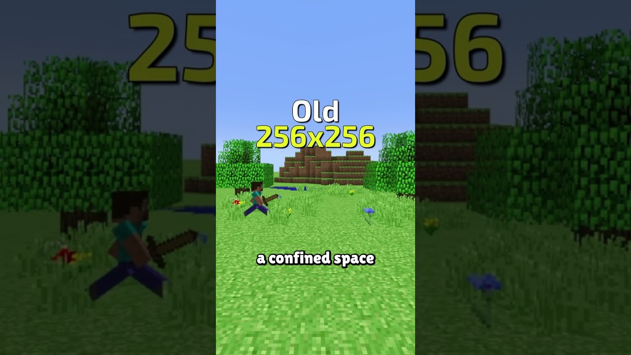 Моя любимая функция Minecraft 2009 года