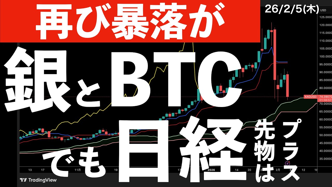 【再び暴落】銀とビットコイン！米株も続落！でも日経先物はプラス！　#米国株 #日経平均 #sp500