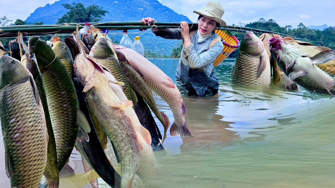 Traditional fishing skills - The girl catches a giant fish with all her hope.