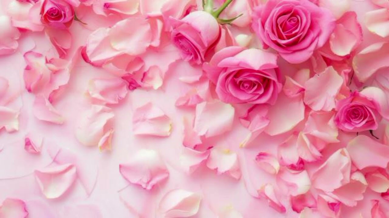 Todo con Ella ( corridos )