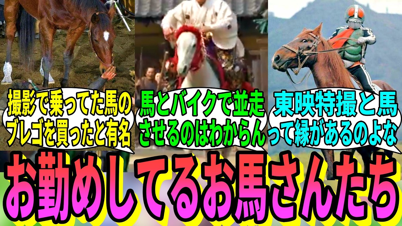 【競馬の反応集】「撮影で活躍するお馬さんたちを見てみる」に対する視聴者の反応集