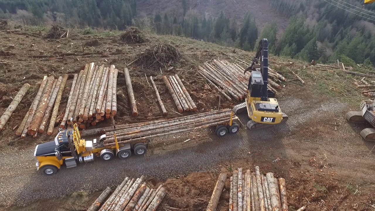 Log Truck Loading