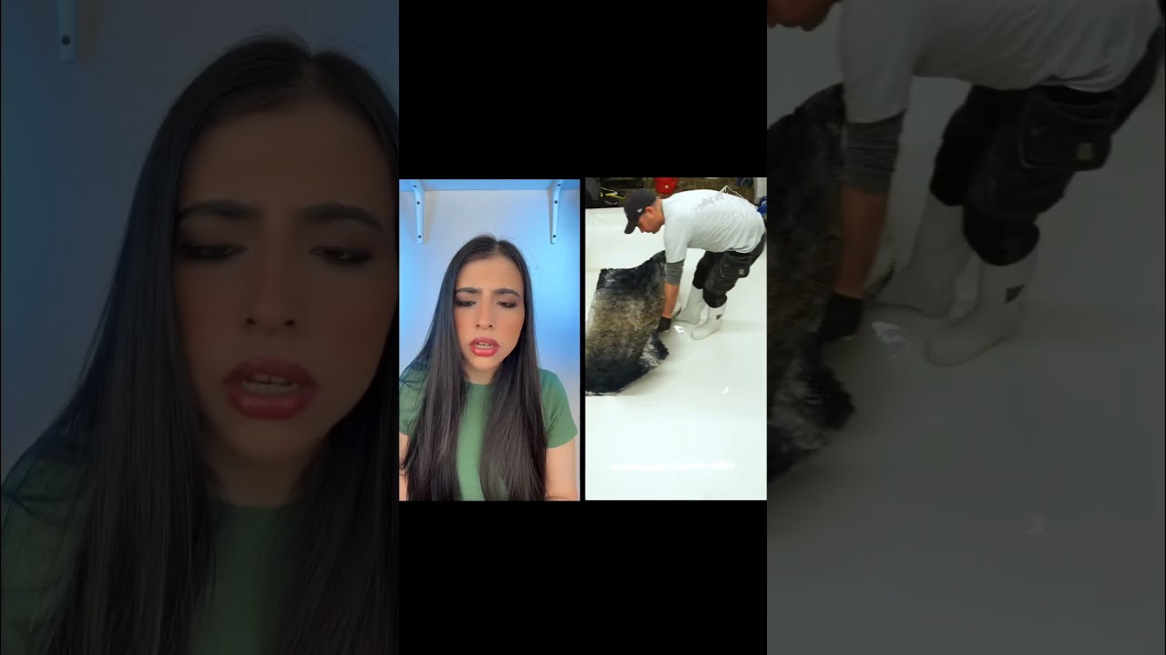 part 1 #shorts #shortvideo #shortsfeed #shortsviral #esraanabil