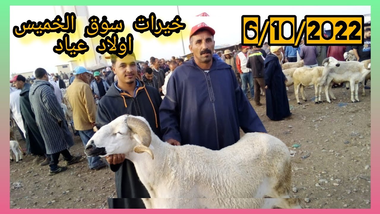 مباشر♥️من سوق الخميس اولاد عياد 🇲🇦اجيو تعرفو على الأثمنة🐏🐑6/10/2022