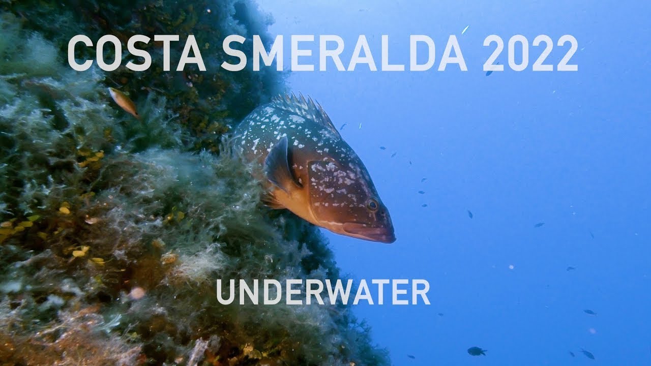 Sardinia - Scuba Diving in Costa Smeralda, AMP Tavolara
