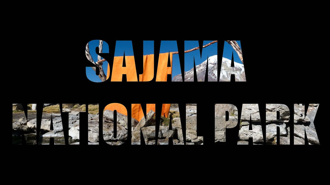 Bolivia 2023 - Part 8 - Sajama National Park
