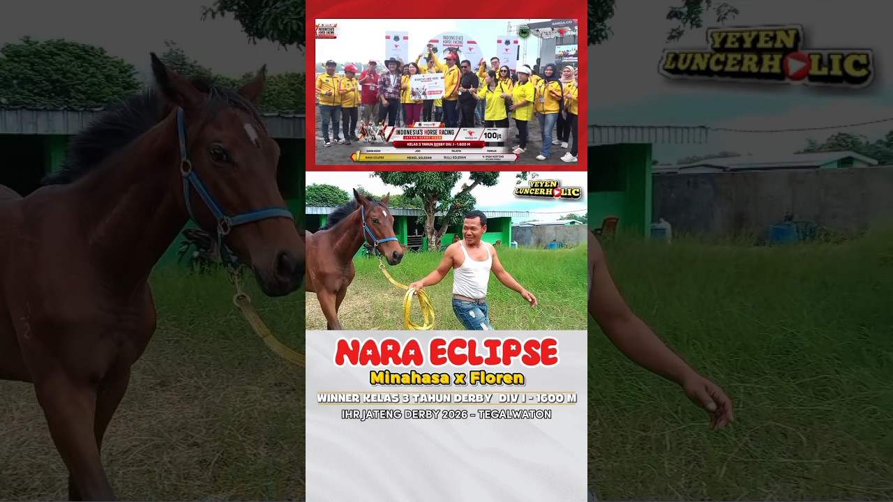NARA ECLIPSE | Saat Masih Berumur 17 Bulan #NARAECLIPSE #ECLIPSESTABLE #yeyenluncerholic #kudapacu